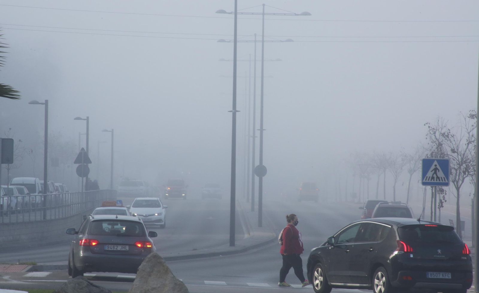 Imágenes de Jerez bajo la niebla