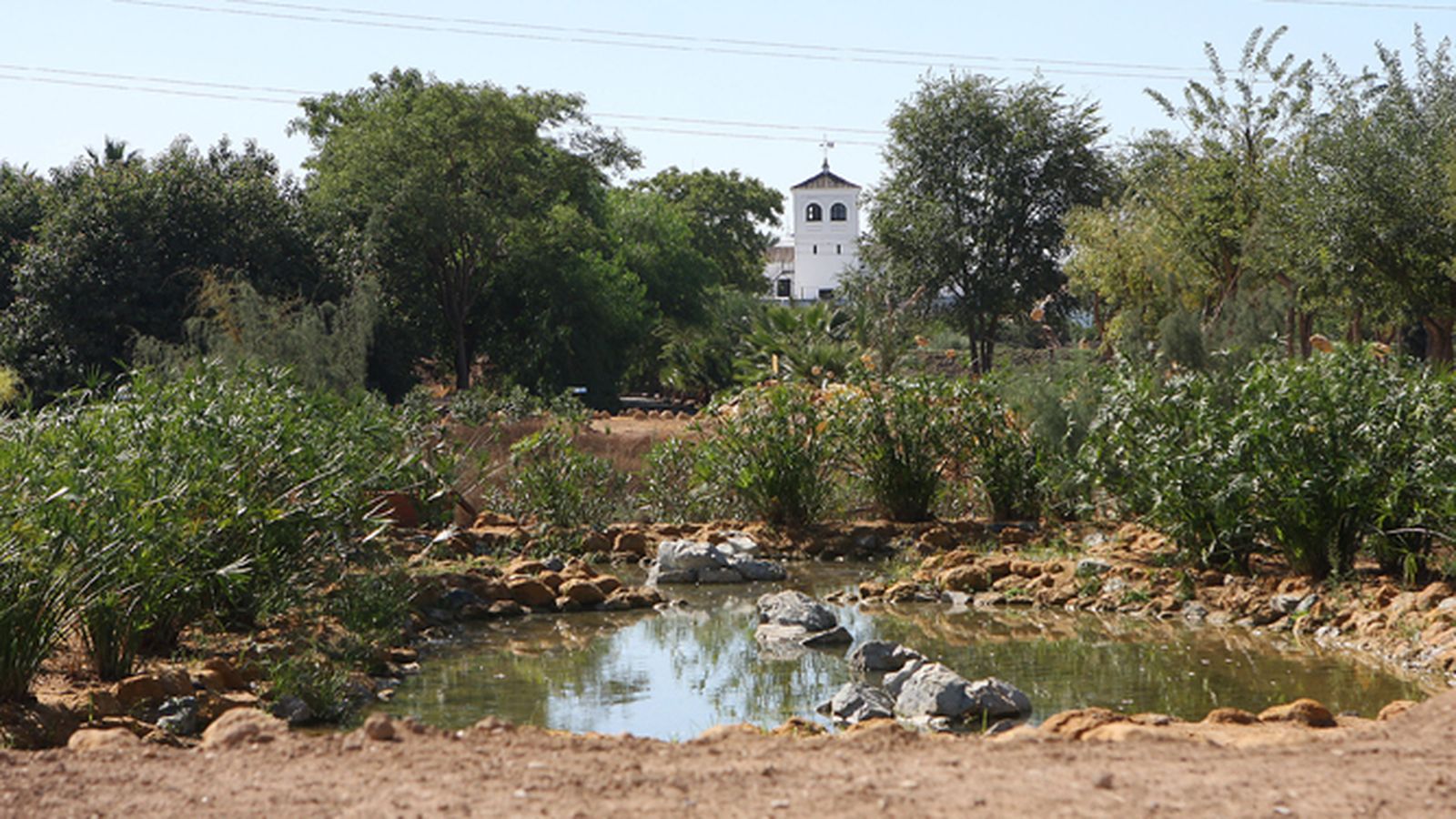 Vista del Parque del Alamillo, con el cortijo del mismo nombre al fondo.