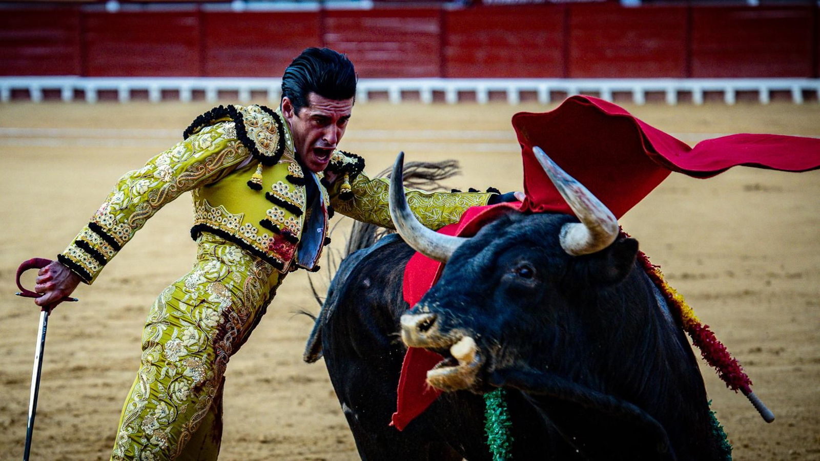 Las imágenes de la corrida de toros en El Puerto: Morante, Talavante y Juan Ortega