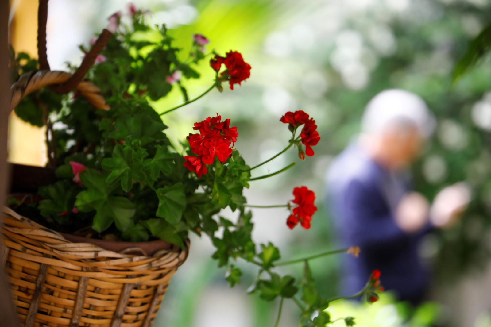 Patio de las Religiosas Jerónimas de Santa Marta y Hermandad de la Misericordia.