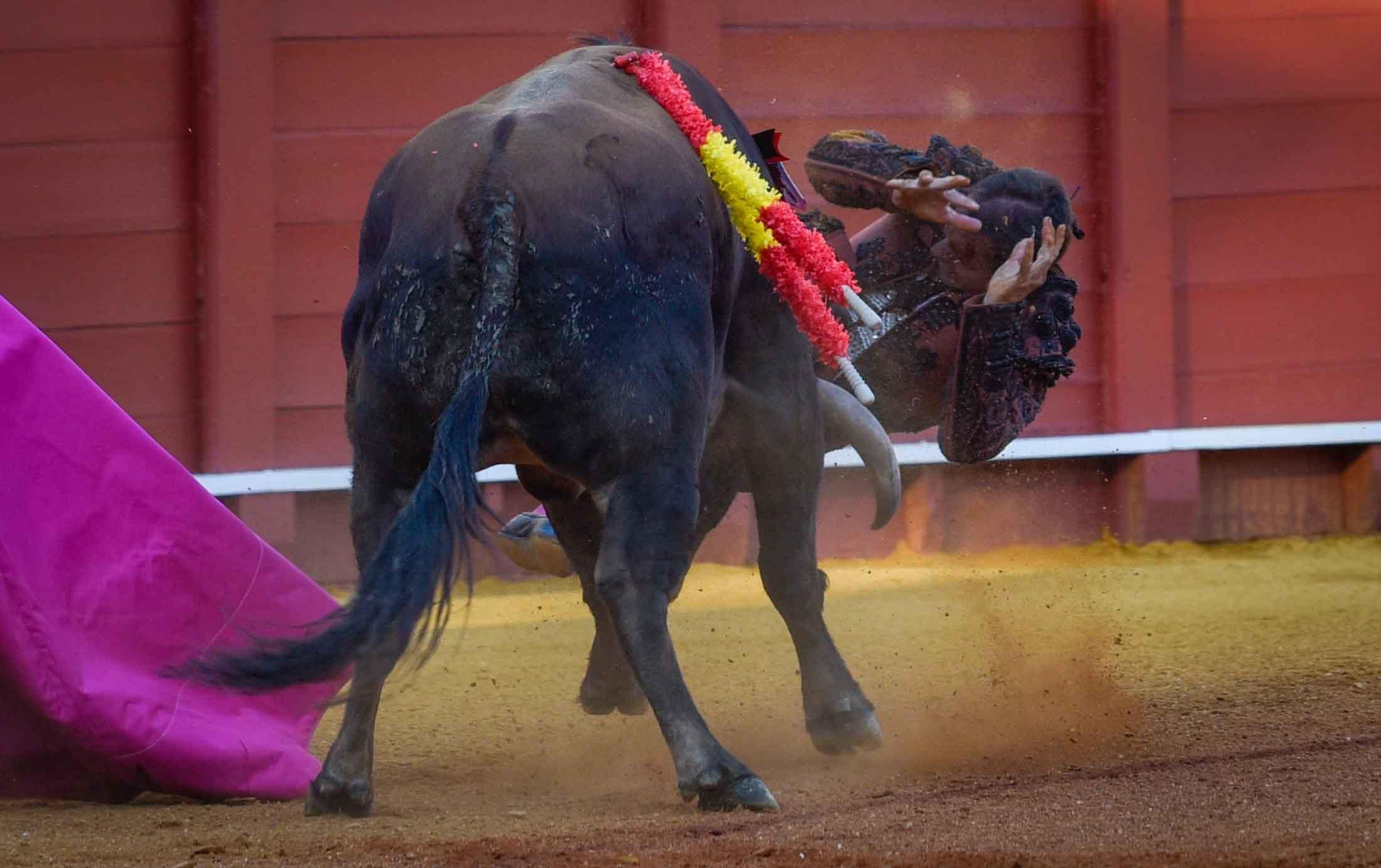 Final de la sexta edición del Circuito de Novilladas de Andalucía