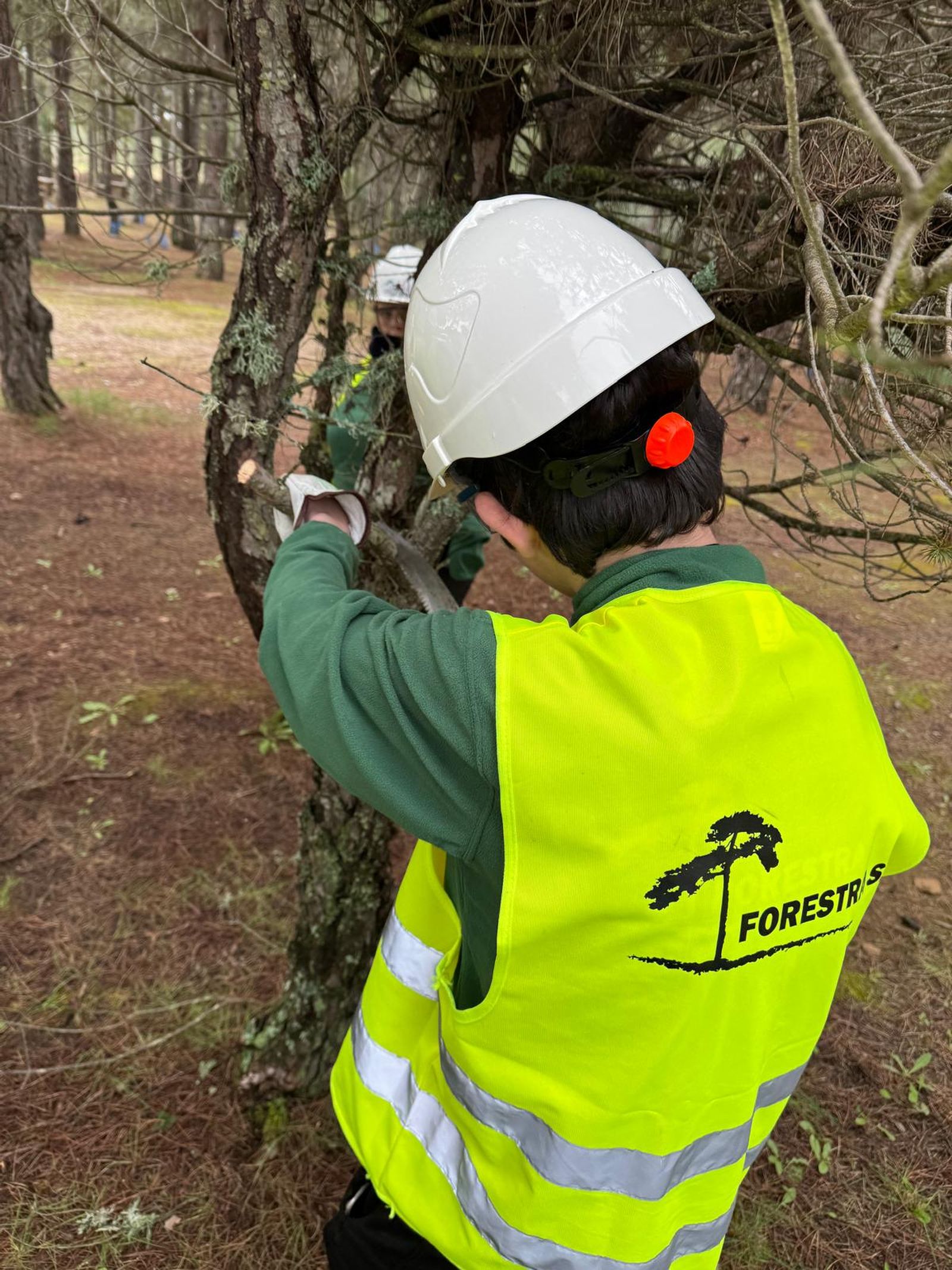 Alumnos de la Escuela de Piñeros durante su formación práctica.