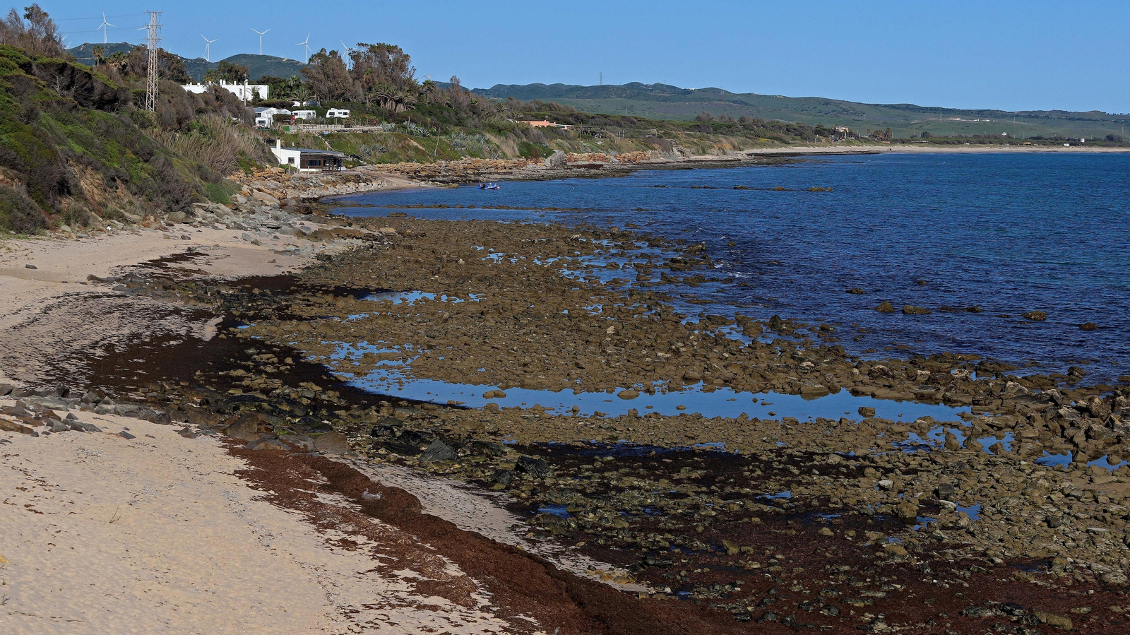 Alga invasora en Tarifa