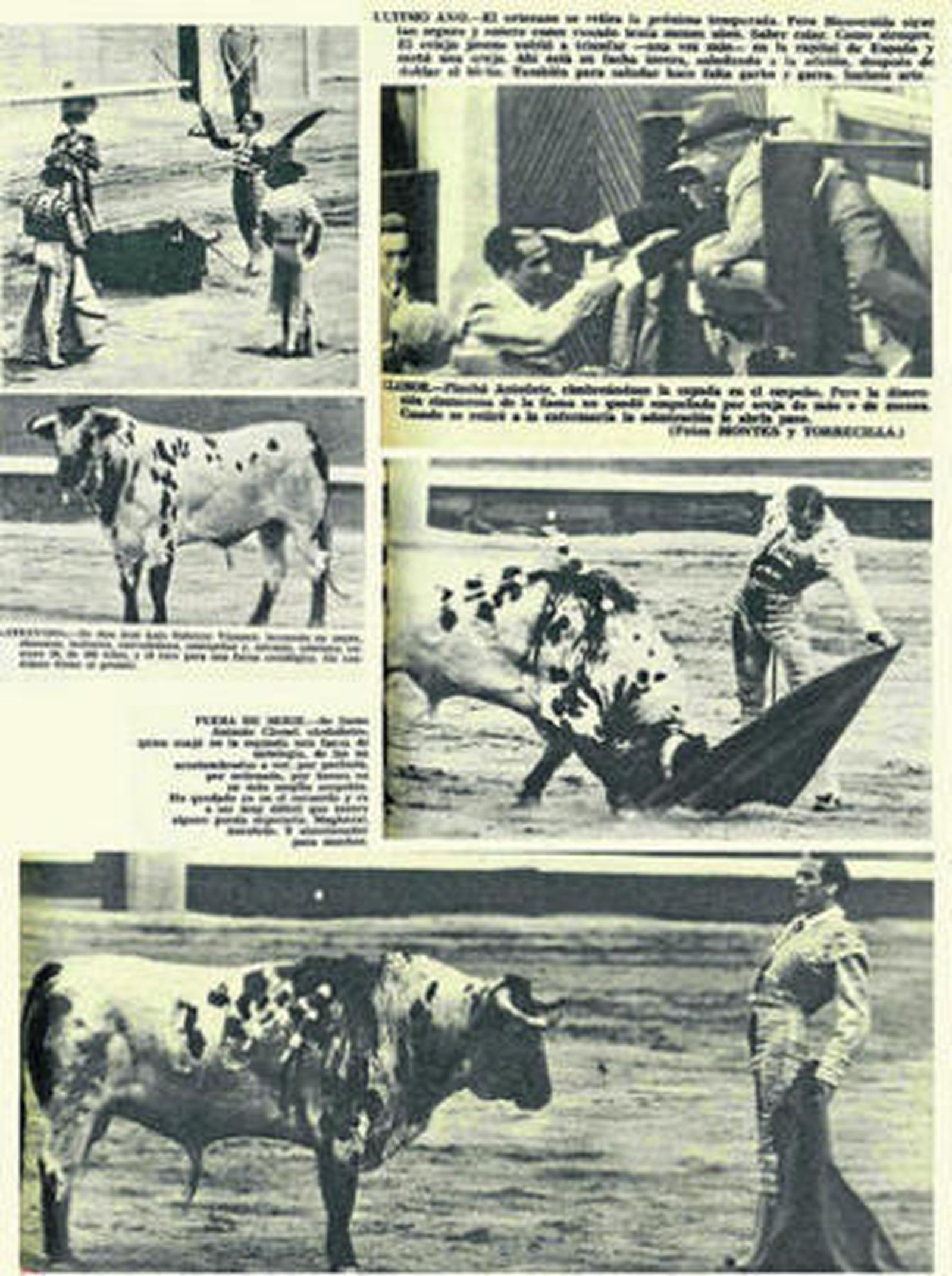 Fotomontaje de las páginas de 'El Ruedo' referente a las imágenes y noticias que para la feria de 1966 significaron Antoñete y el toro Atrevido, de Osborne.