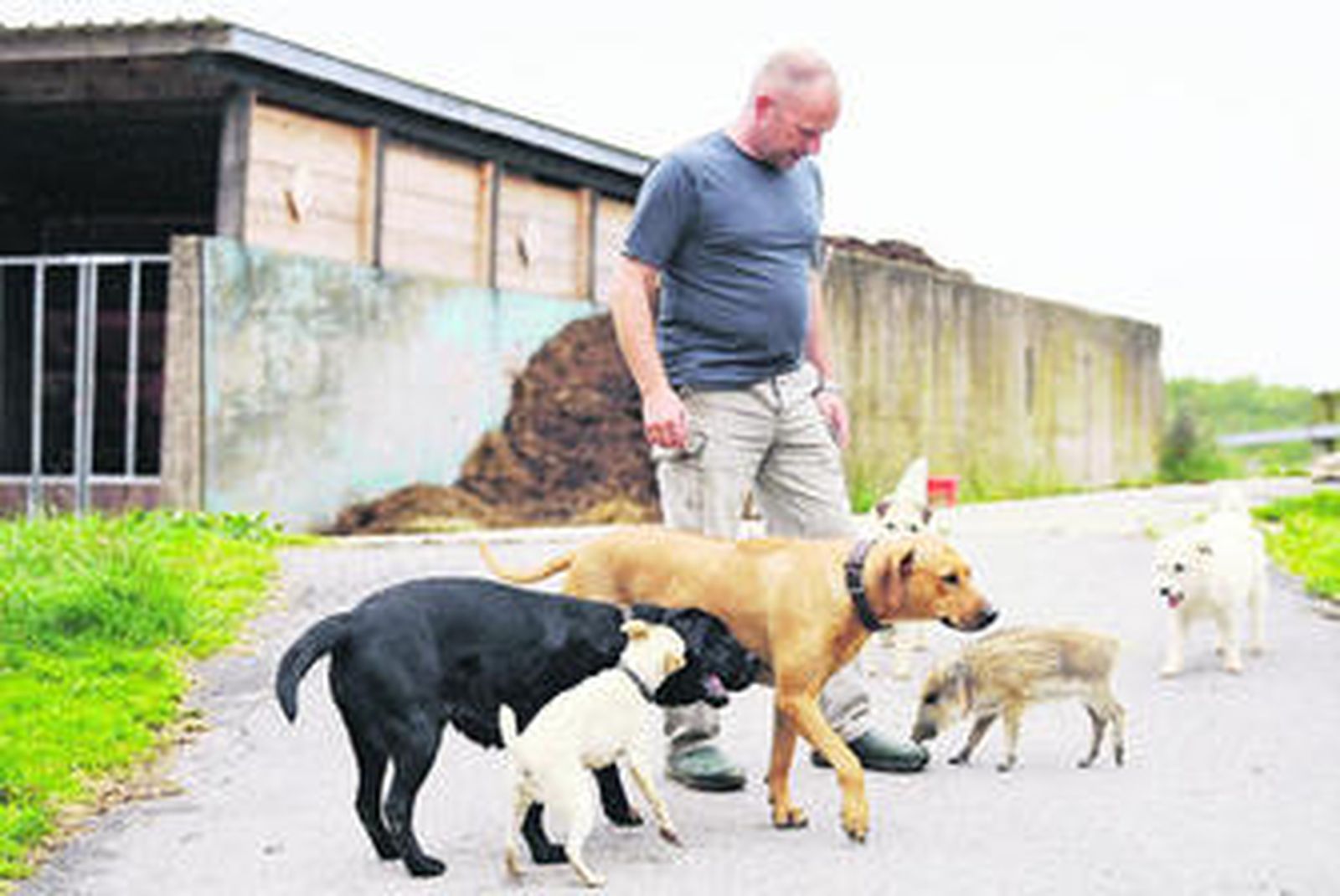 La sarna canina es contagiosa, no solamente de un animal otro sino también para los humanos.