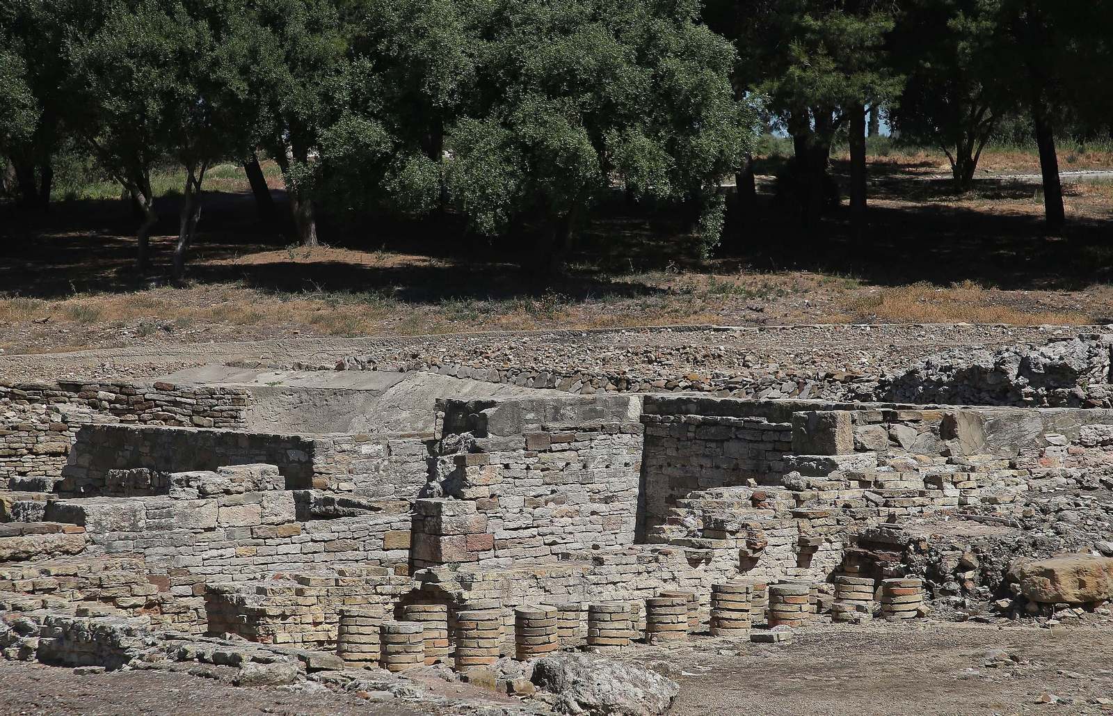 Fotos de la visita de Arturo Bernal al enclave arqueológico de Carteia.
