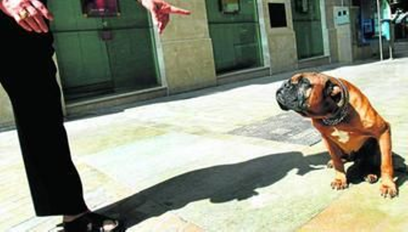 Un perro atiende a las instrucciones de su dueña en pleno centro de la capital. Más que el derecho, se impone la responsabilidad.