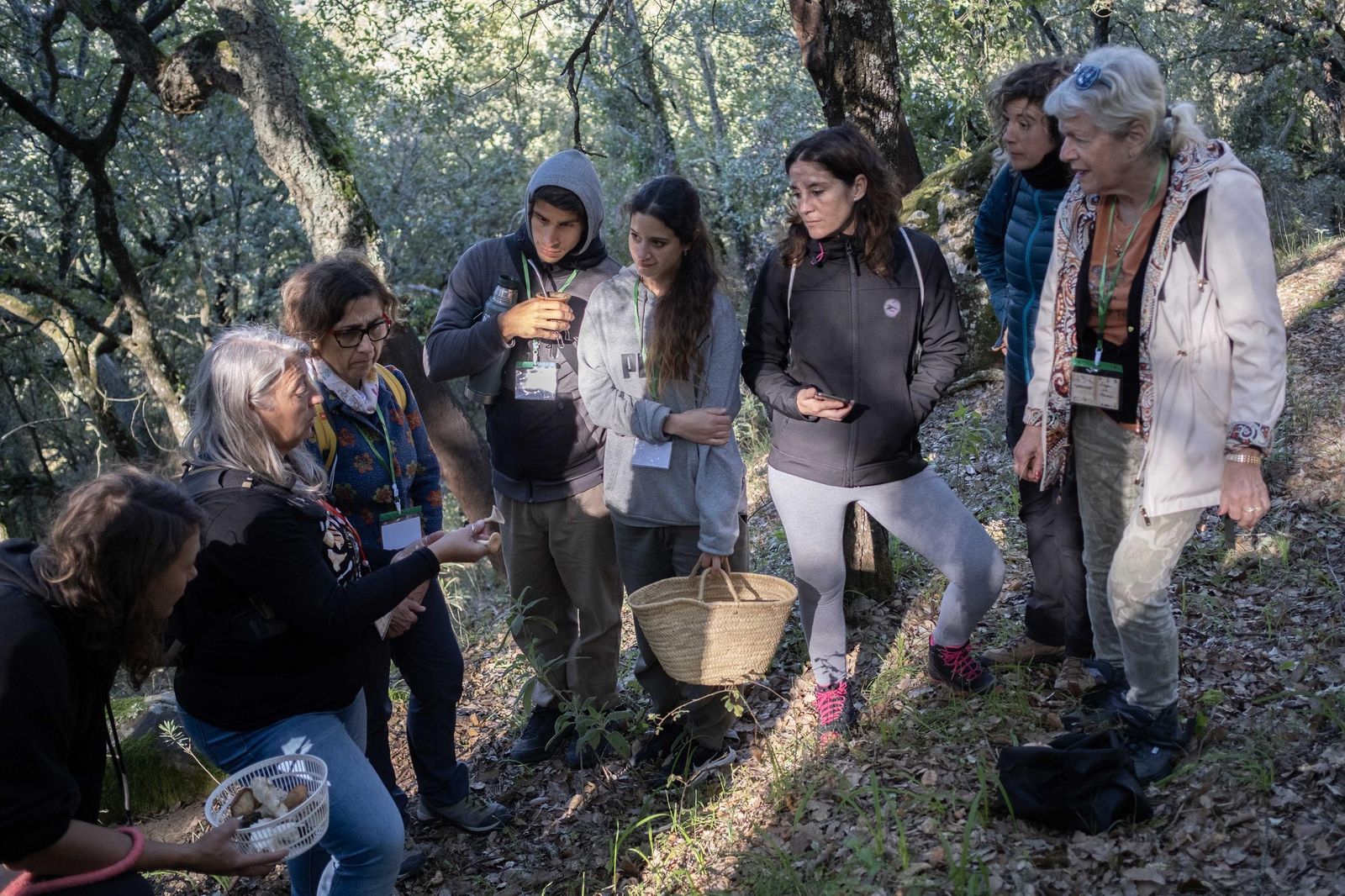 Jornadas micológicas de Cortes de la Frontera, en fotos