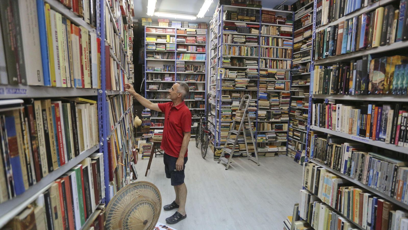 El librero de Abadía revisa las estanterías cargadas de libros
