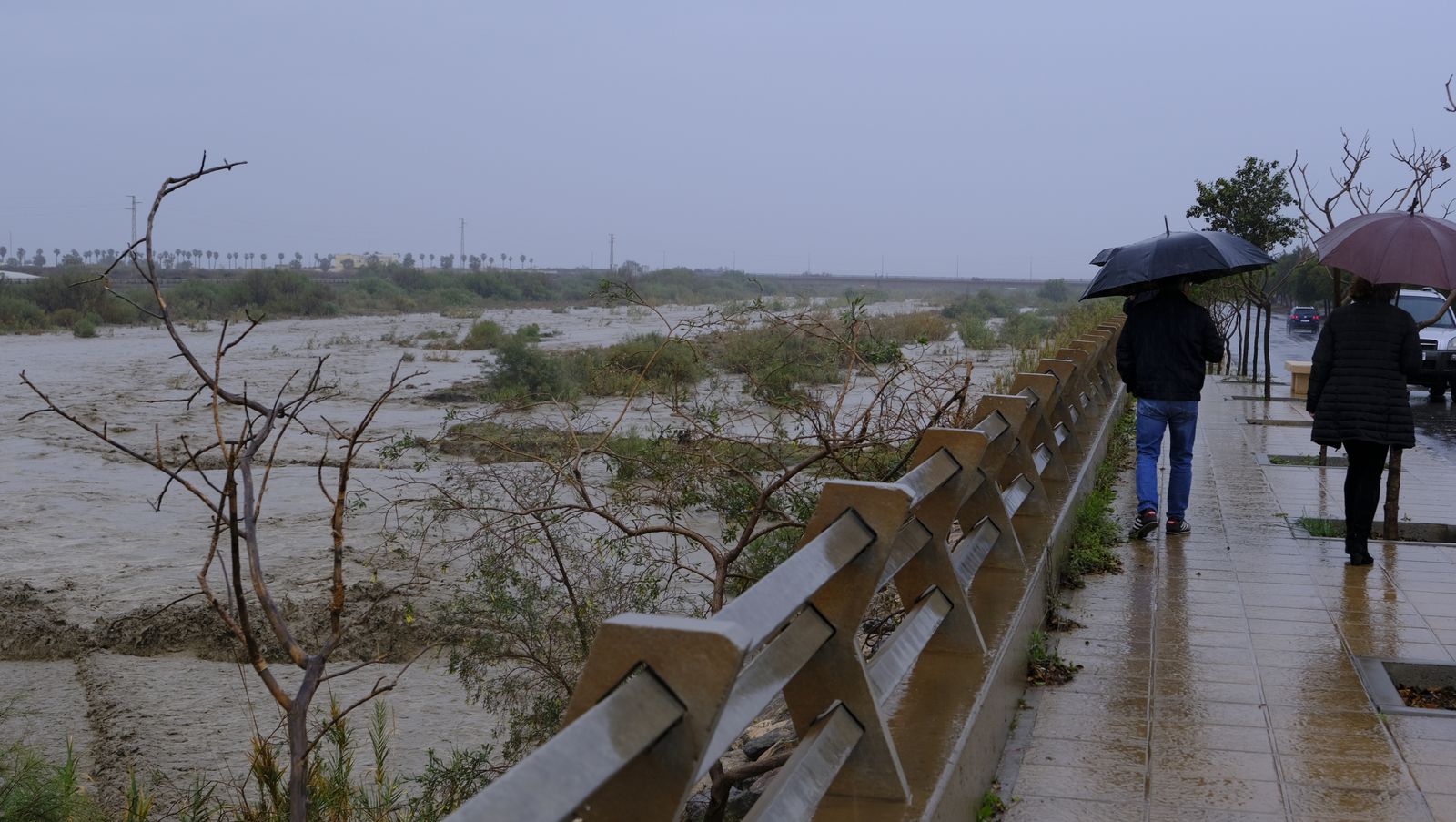 Fotogalería de las lluvias torrenciales en Almería