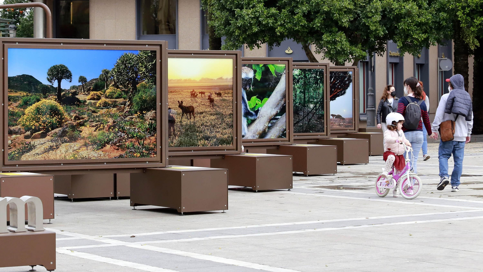 Exposición de 'De Polo a Polo' de The National Geographic en el Arenal