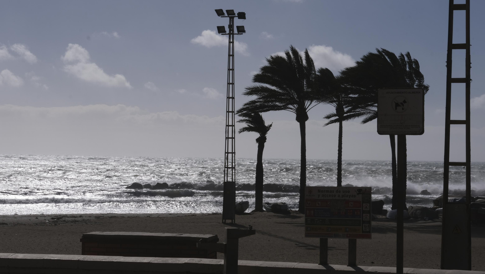 Temporal de viento y flota pesquera amarrada, en Almería