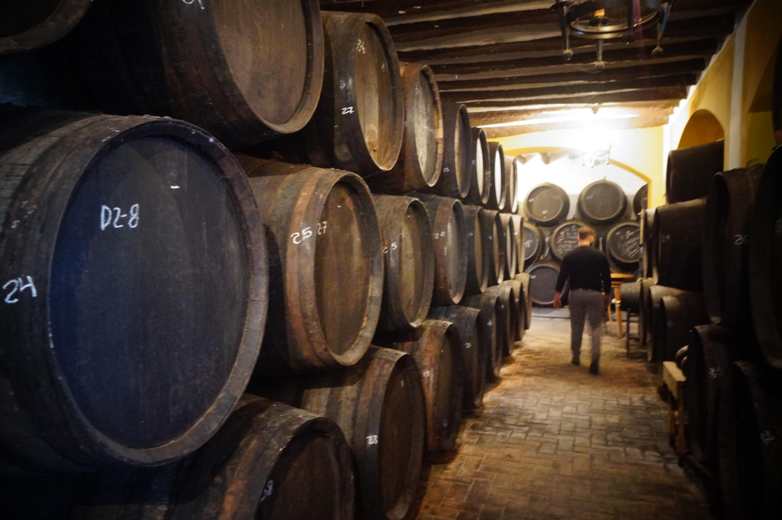 Un recorrido en fotografías por el vino nuevo de Moriles