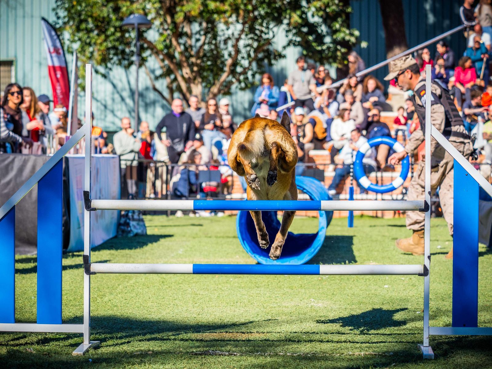 Las imágenes de San Antón 2025 en San Fernando