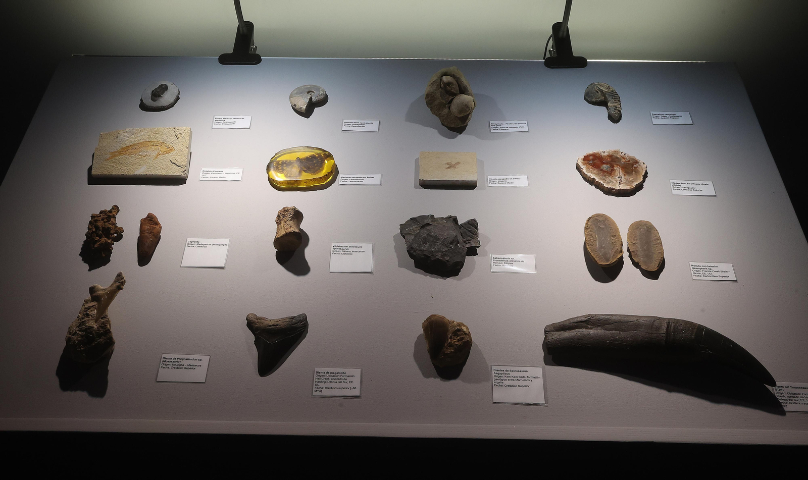 Exposición DINOSAURS LIVE