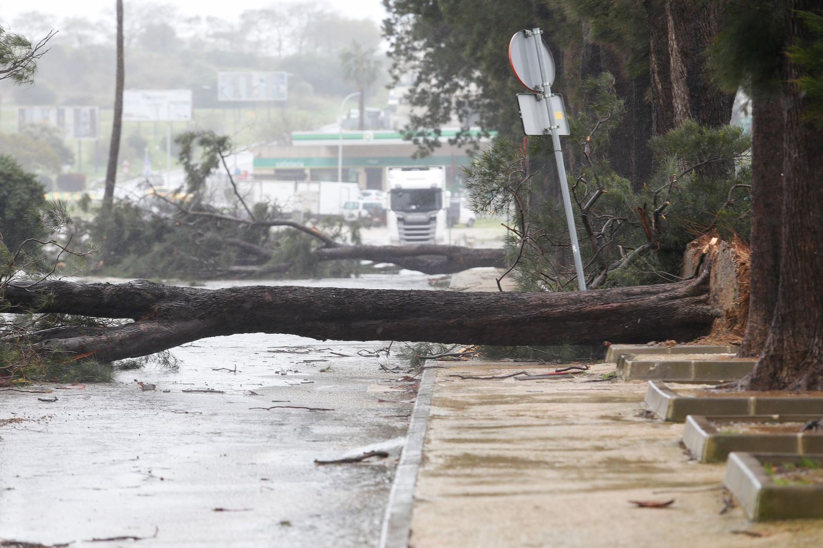 Fotos del temporal de lluvia y viento por la borrasca Kristin en el Campo de Gibraltar