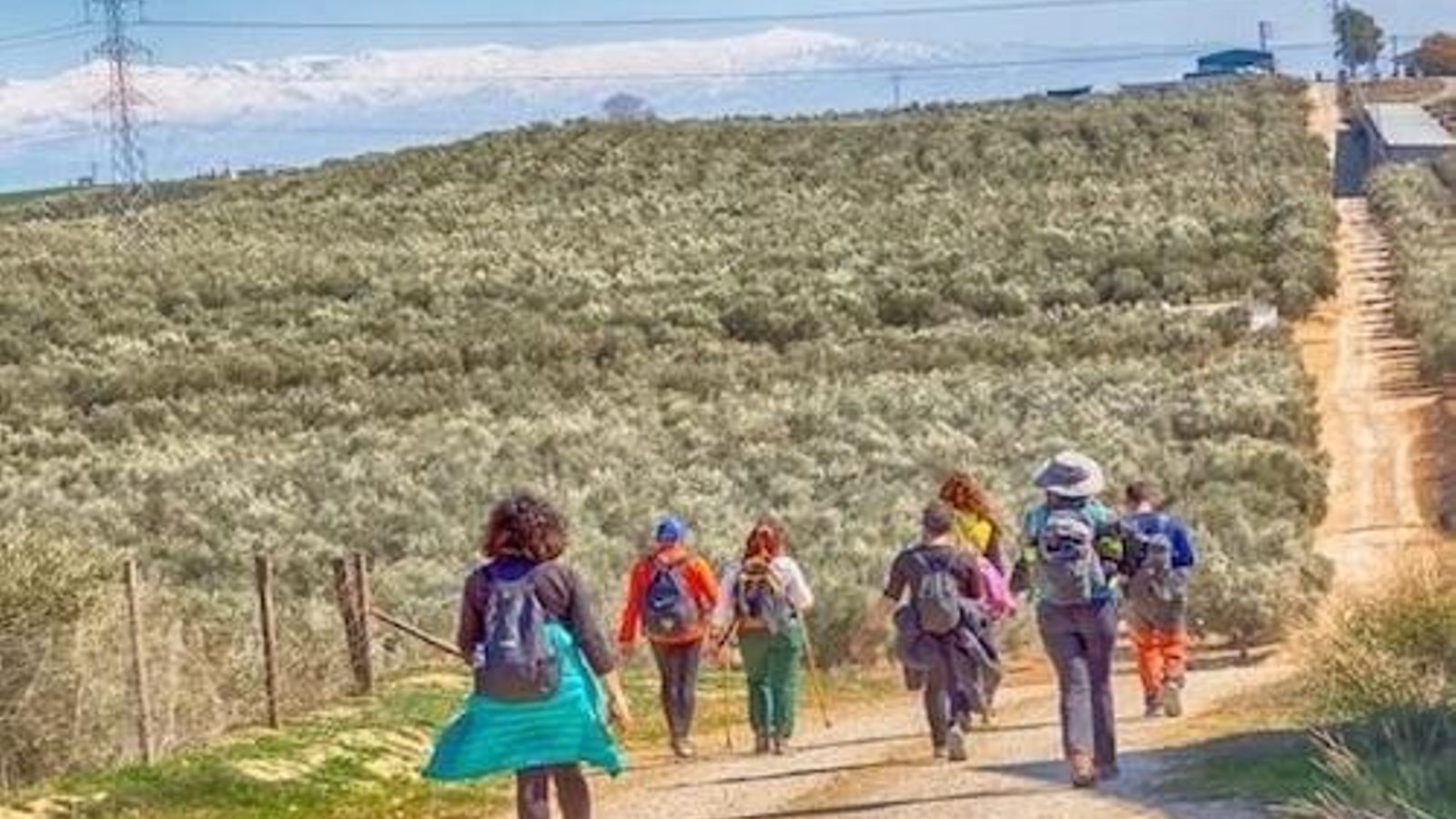 Una de las etapas del Camino de Santiago andaluz.