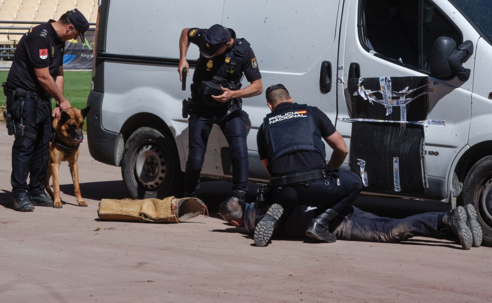 La exhibición policial con participación de la Unidad Aérea, Guías Caninos y Caballería, en imágenes