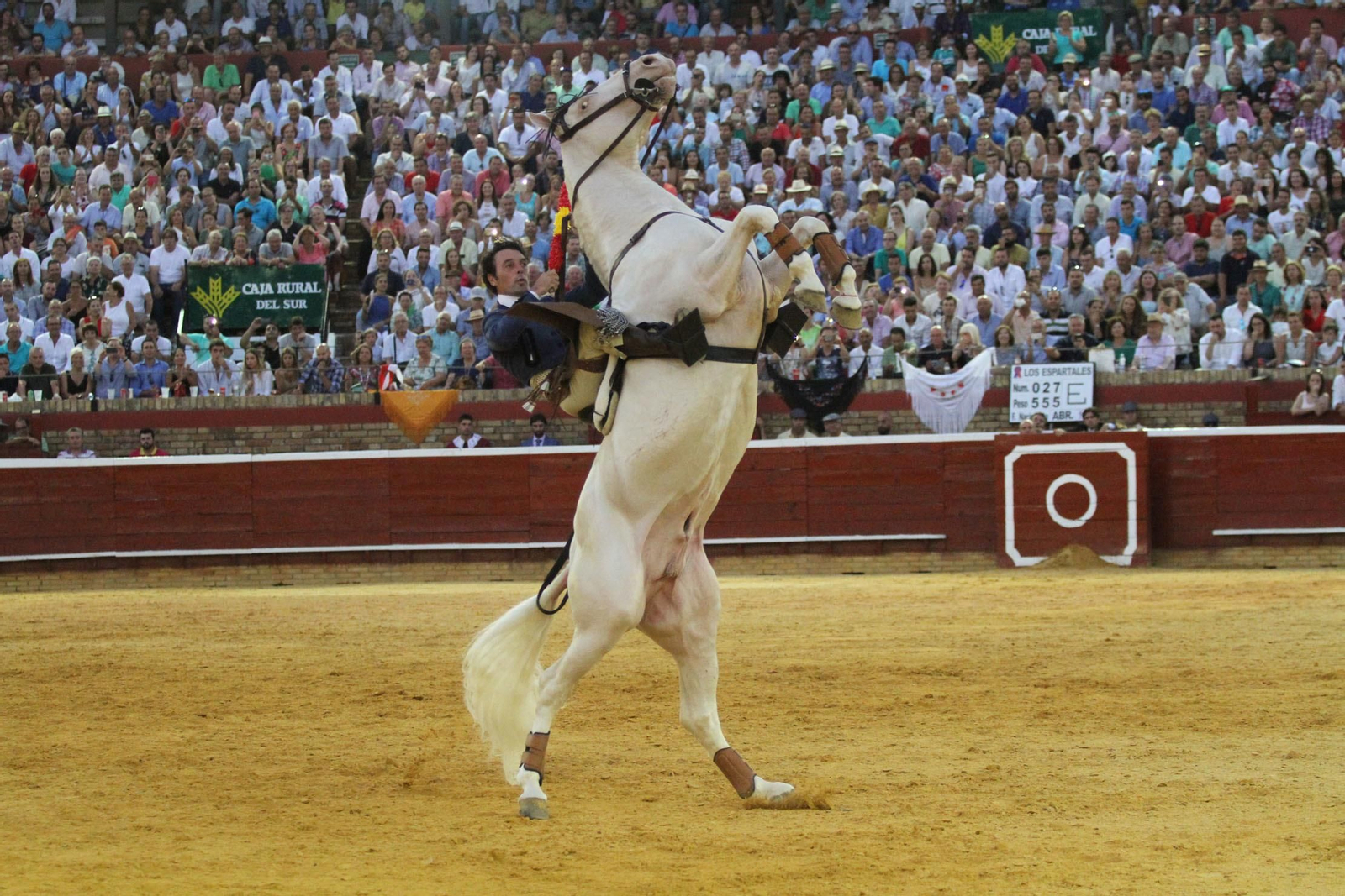 Festejo de Rejones en el coso de La Merced por Colombinas.