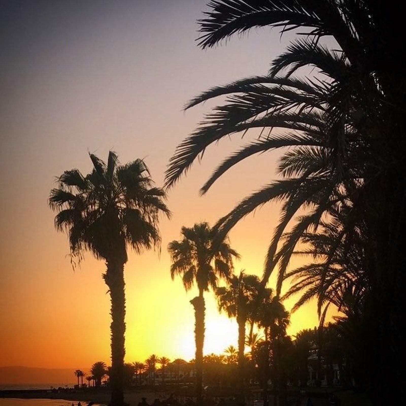 Playa de las Americas, en Tenerife.