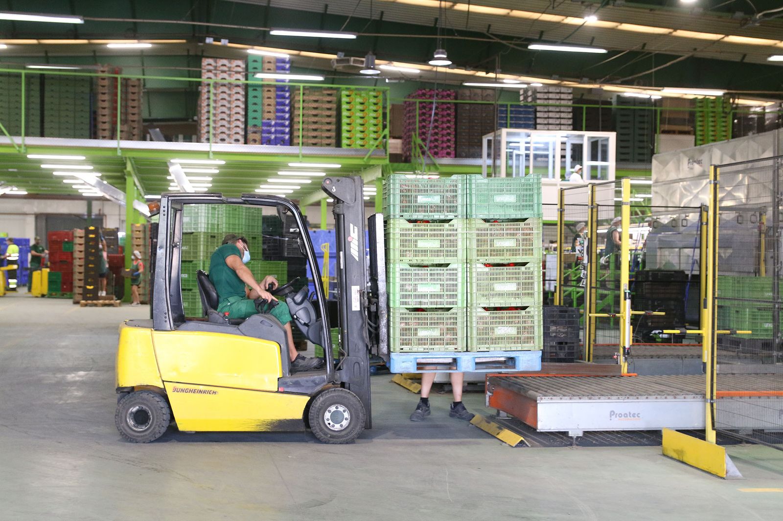 Fotogalería Unica alcanza los 500 millones de kilos