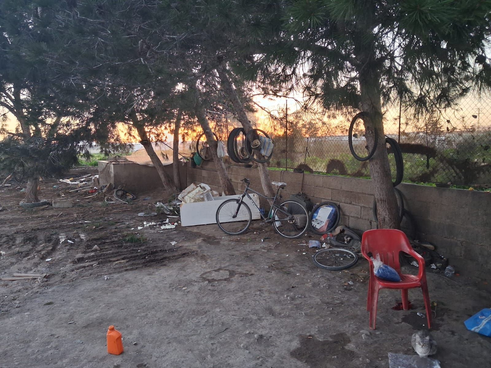 WhatsApp Image 2026-02-12 at 18.59.09 (2)