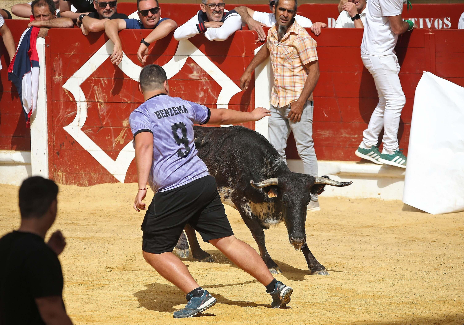 Fotos del Toro Embolao en Los Barrios