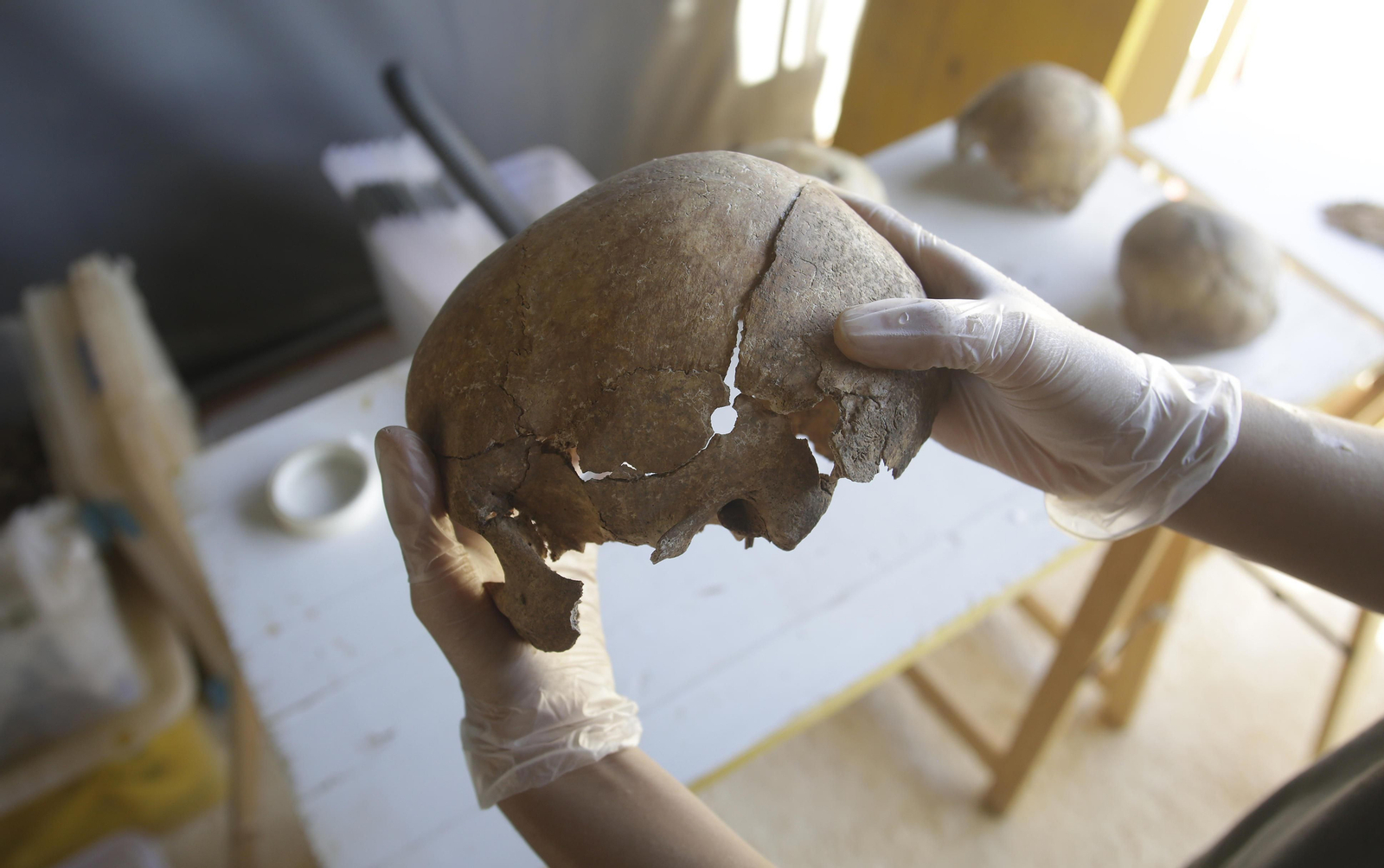 Avance de los trabajos en la fosa común de Pico Reja