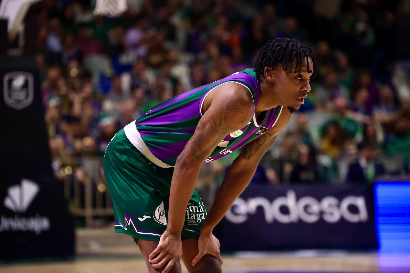 Búscate en las gradas del Carpena en el Unicaja-Breogán