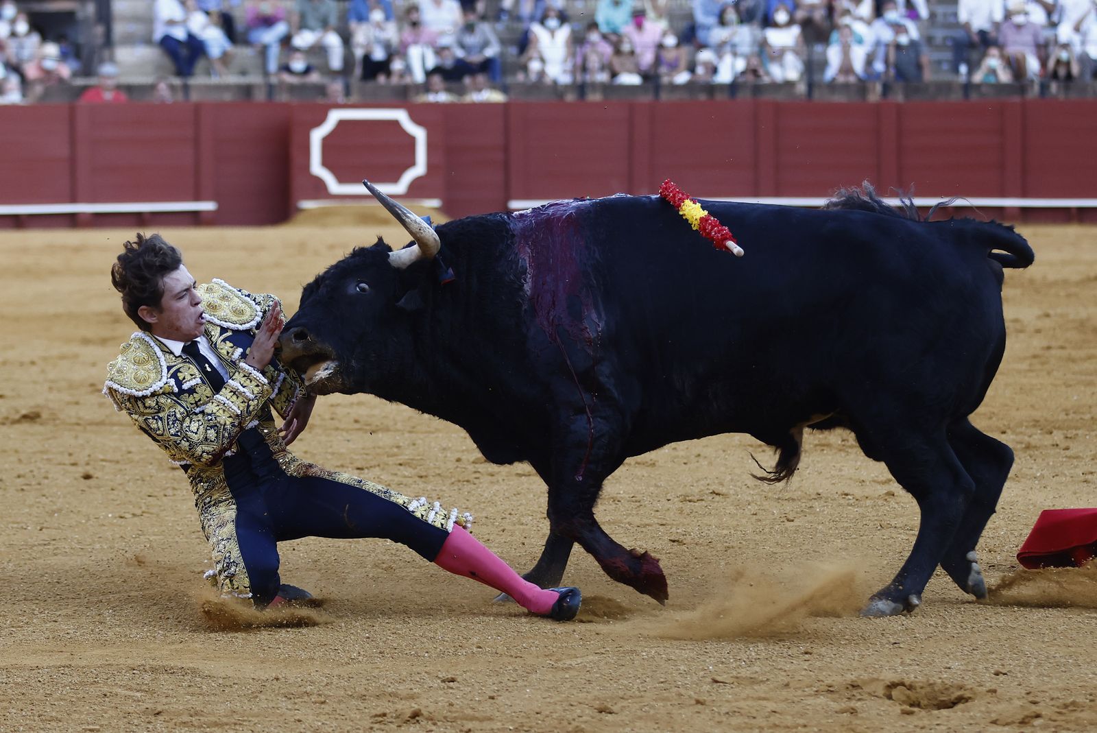 Fotos de la segunda novillada de la feria de San Miguel de Sevilla