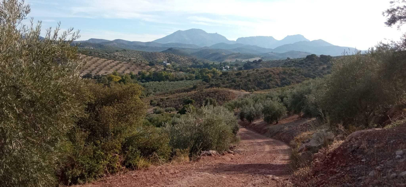 Las imágenes de la Ruta Zagrilla Baja - Esparragal - Zagrilla Baja