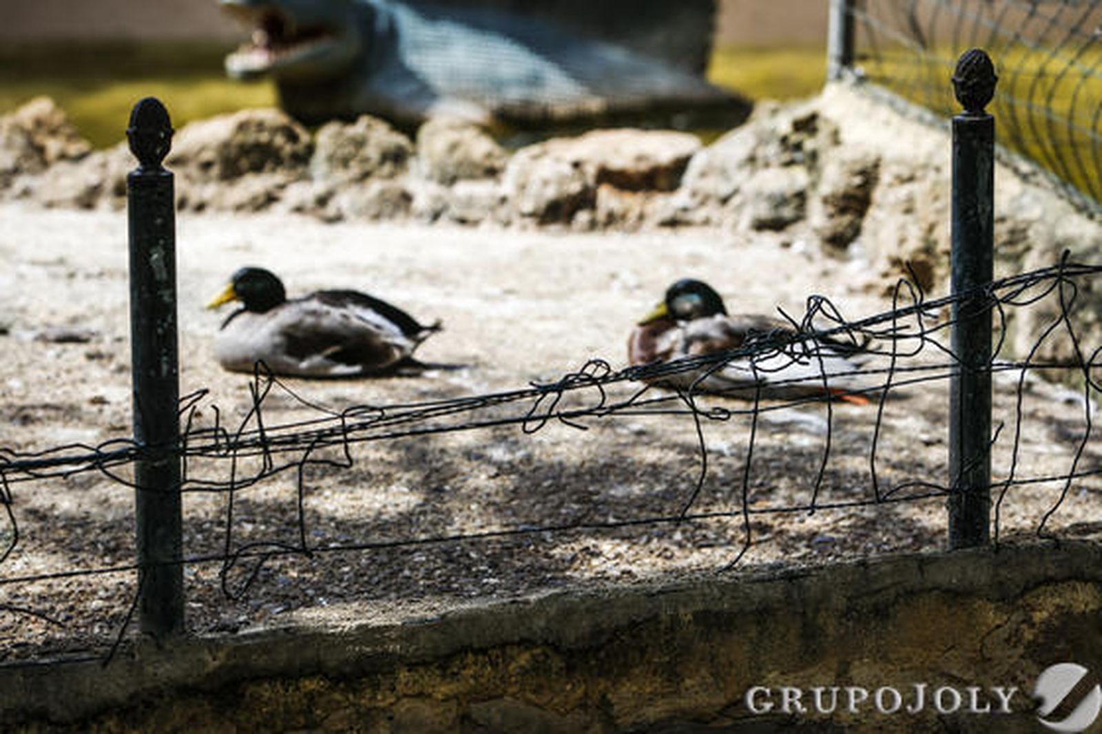 Foto: Julio Gonzalez