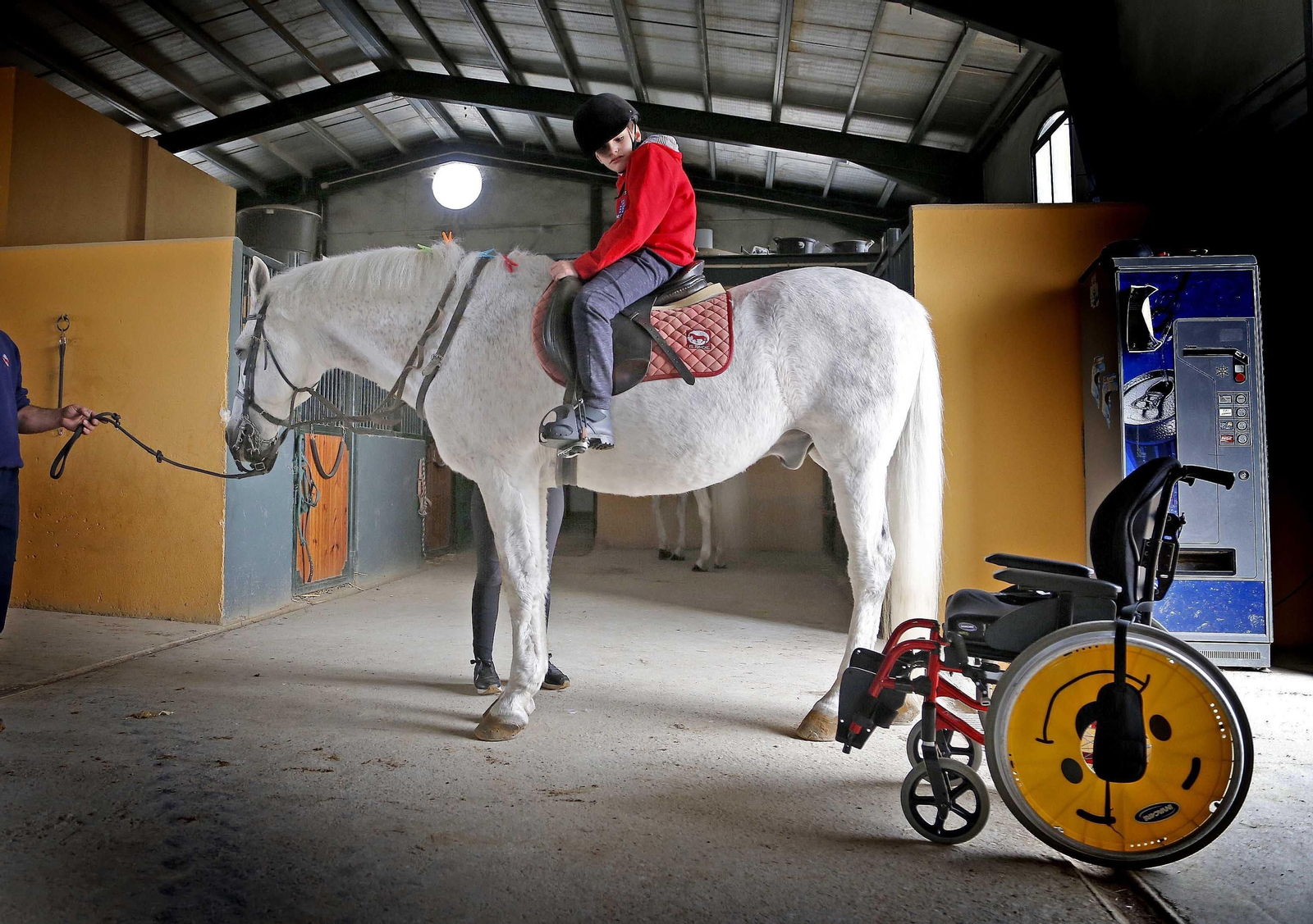 El pequeño Joaquín cepilla un caballo, antes de montar.