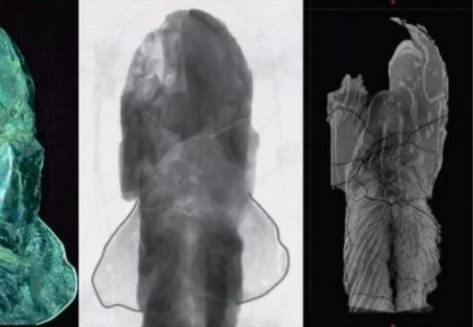 Explican cómo algunos peces pasaron del agua a la tierra hace unos 370 millones de años