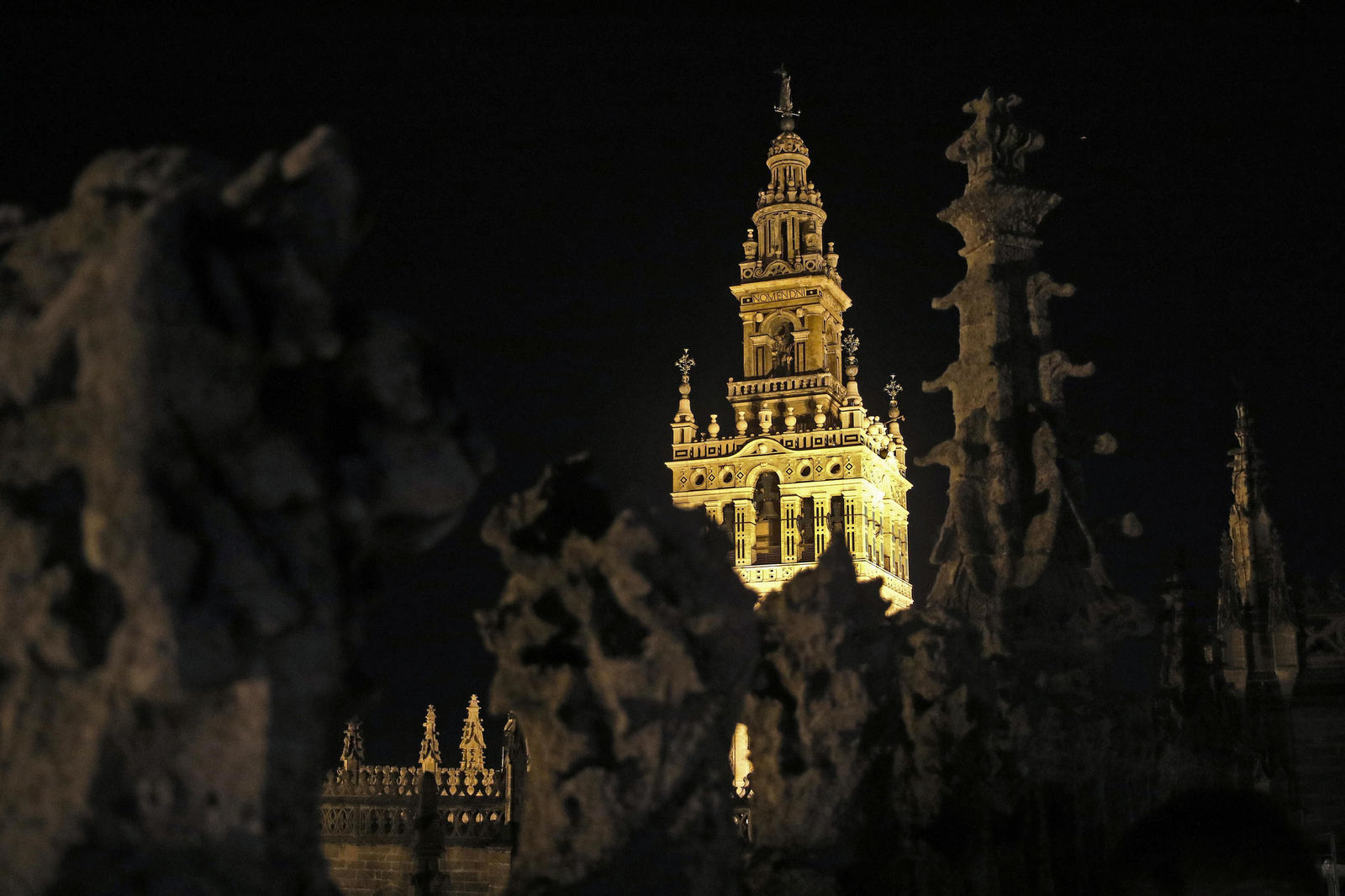 Visita nocturna a la Catedral
