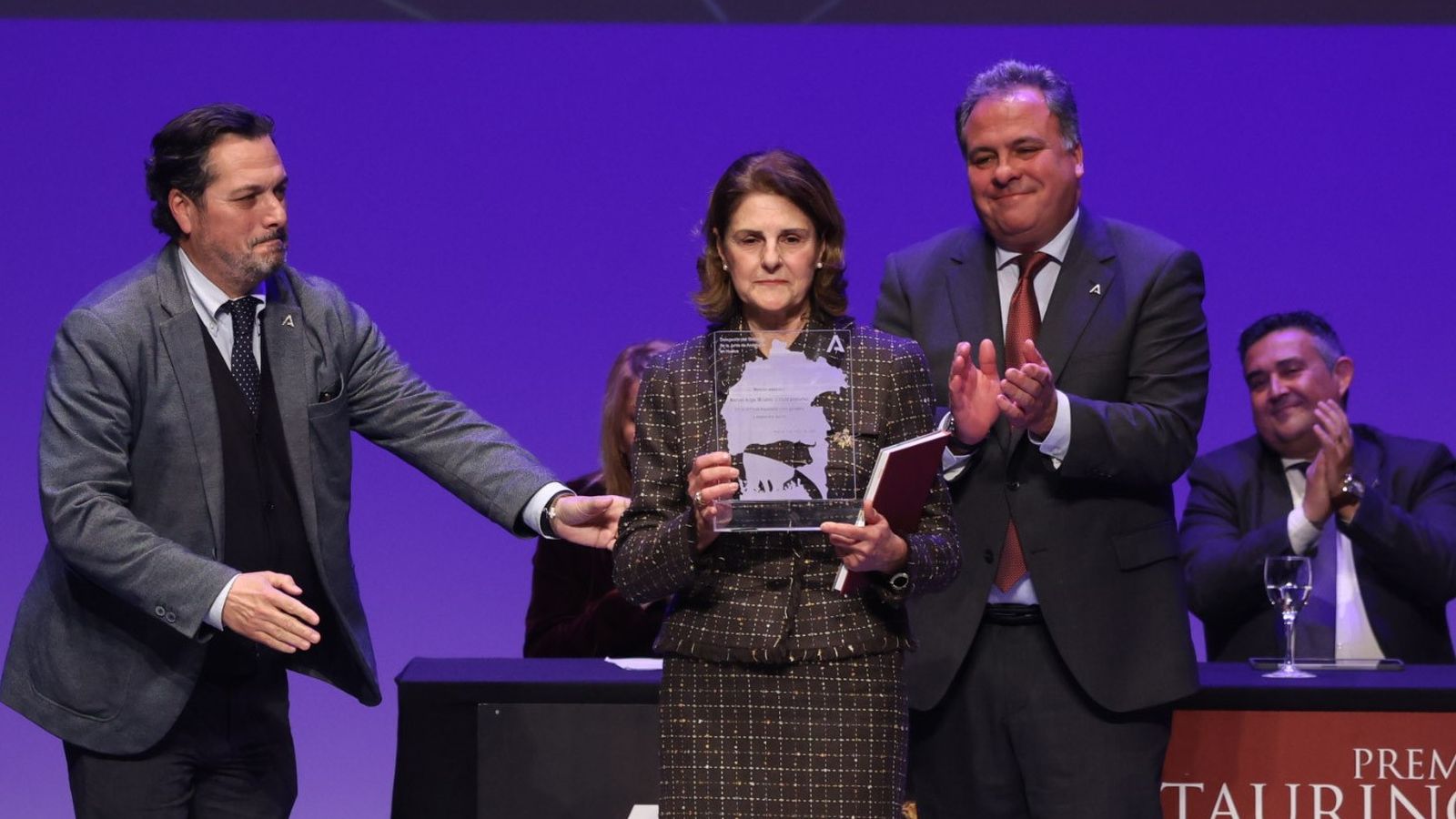 XXV Premios Taurinos provinciales