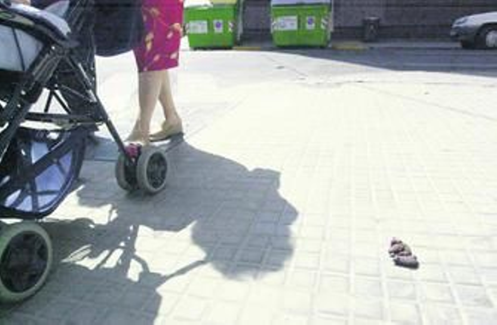 El Ayuntamiento pretende evitar que los propietarios de animales dejen las deposiciones en la vía pública.