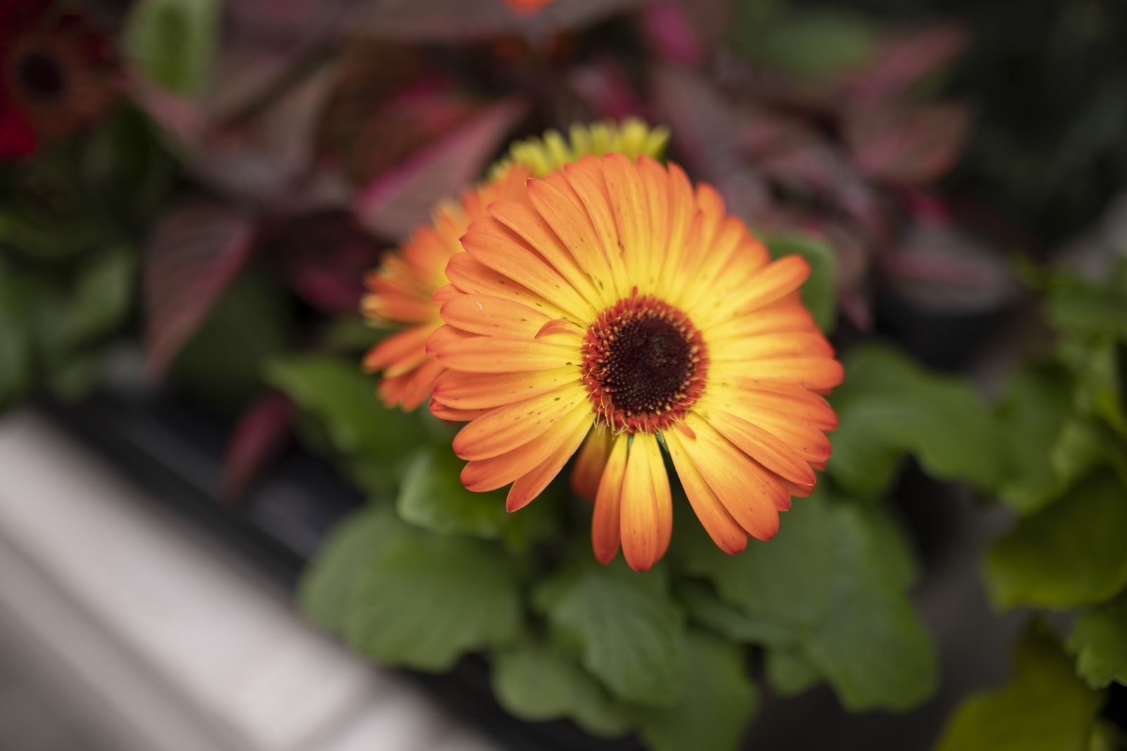 Imágenes del martes 15 de marzo en Huelva