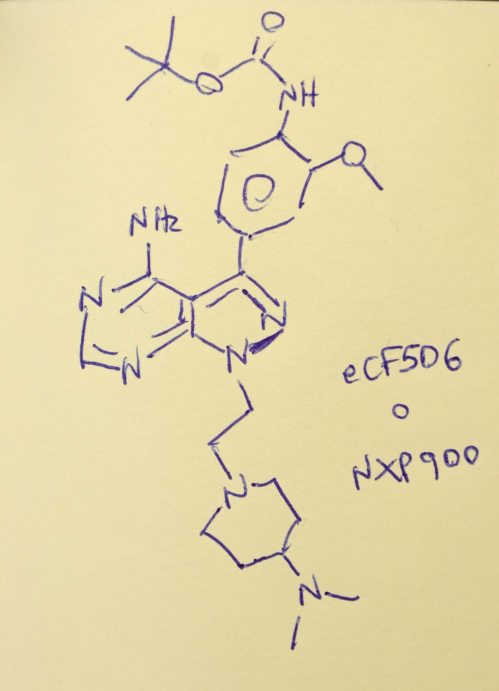 La fórmula del fármaco NXP900 contra el cáncer, ideado por Unciti y su equipo, escrita de su puño y letra.