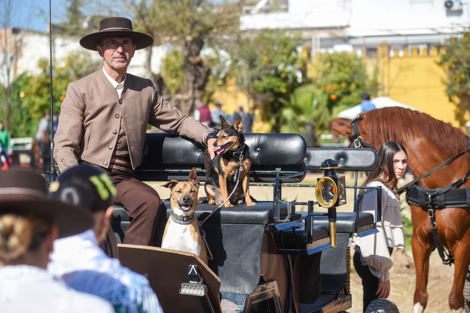 Las mejores imágenes de la Marcha Hípica Córdoba a Caballo del 28F de 2026