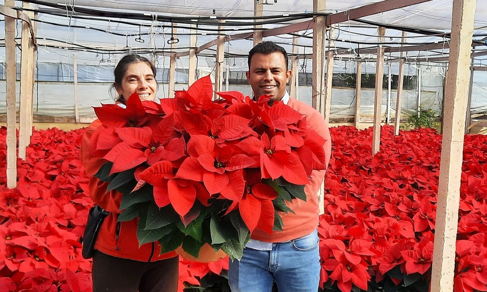 Daniela, responsable vivero de Poinsettia y Bachir, técnico de Agrobío