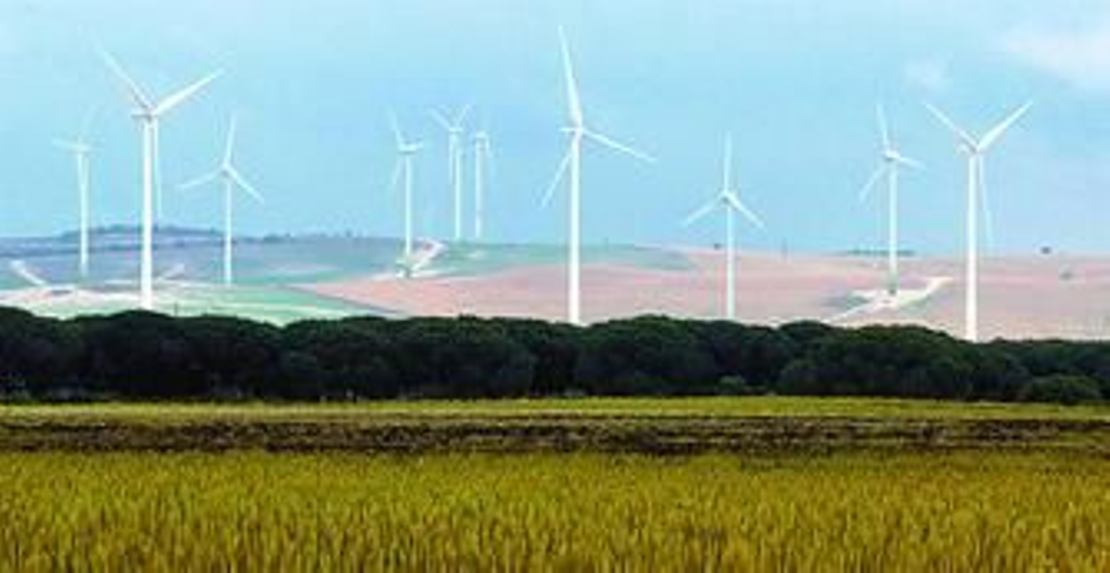 Una imagen de aerogeneradores de un parque eólico implantado en Puerto Real.