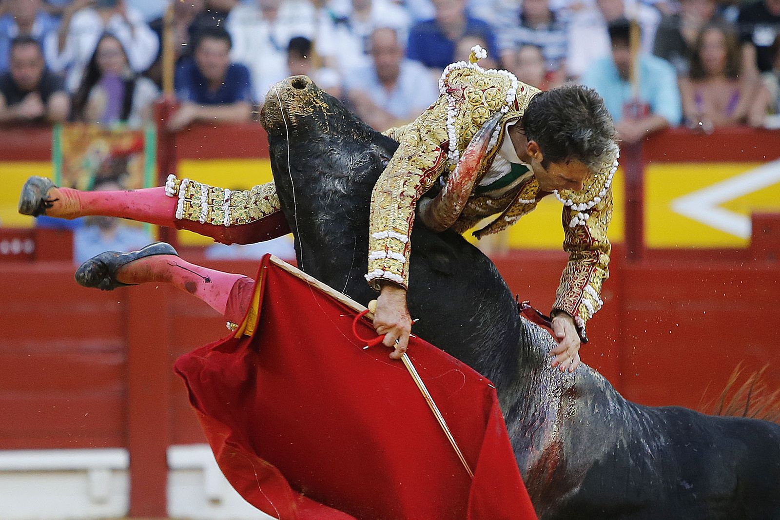 La imagen explica lo que parece no tener explicación: ¿qué lleva a un torero sin necesidades y semirretirado a exponerse como lo hizo este domingo José Tomás?