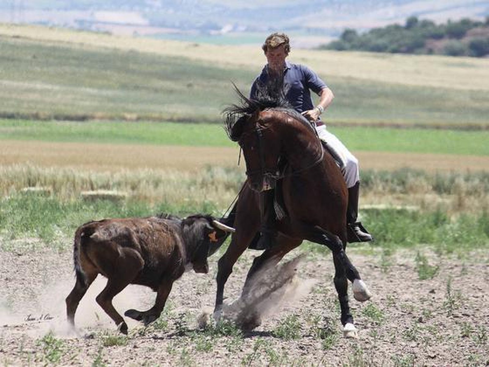 Fermín Bohórquez, en imágenes