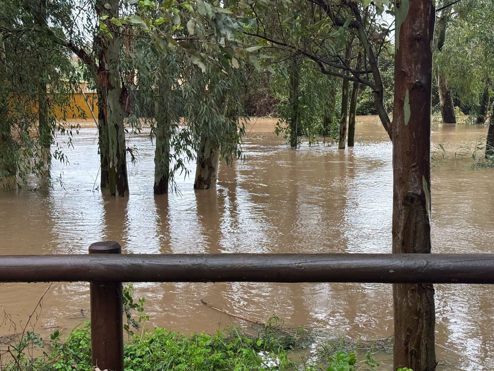 Fotos: Así amaneció el Campo de Gibraltar tras el paso de la borrasca Leonardo