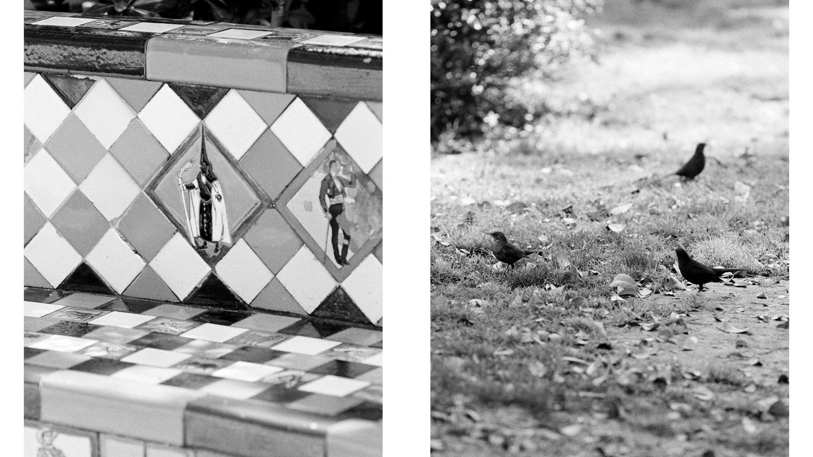 Unas imágenes de la serie dedicada al Parque de María Luisa.