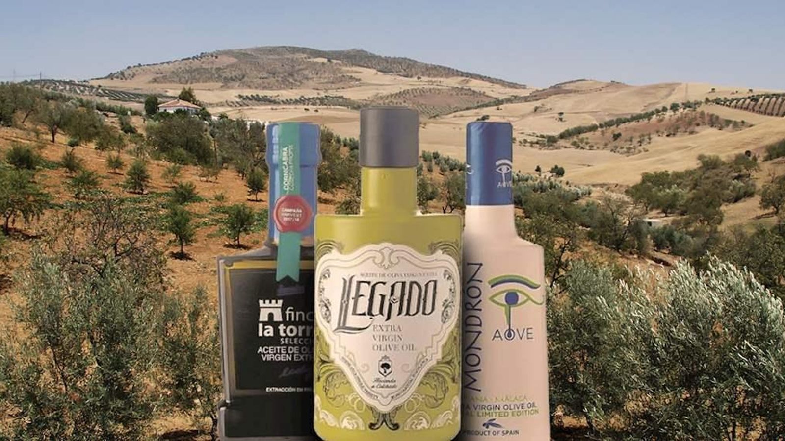 Aceite de Oliva de la Hoya de Antequera Aceite de Oliva de la Hoya de Antequera