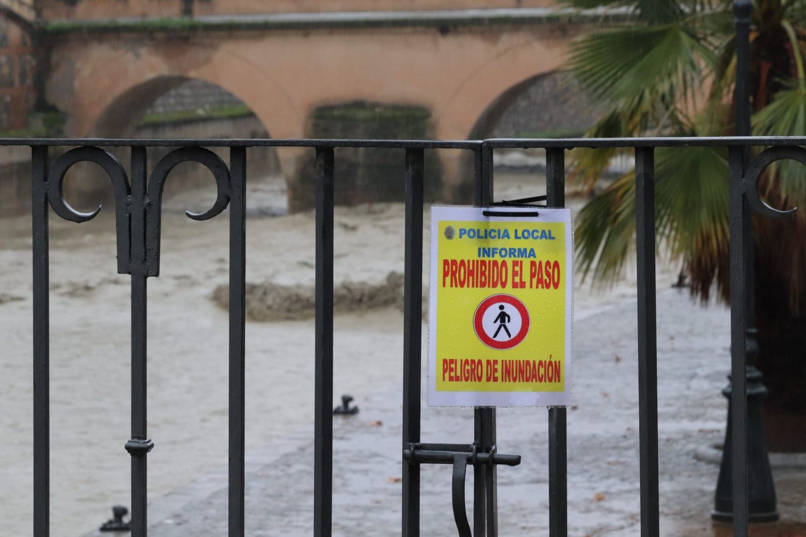 WhatsApp Image 2026-02-04 at 11.19.05 (1)