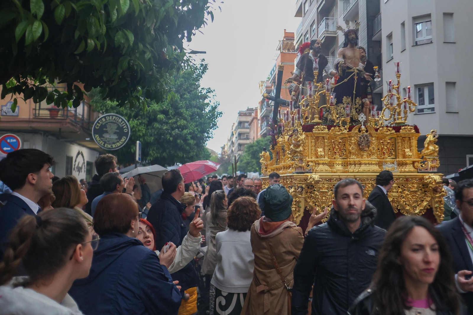 Así vivió Granada la suspensión de la Hermandad de Jesús Despojado 2025