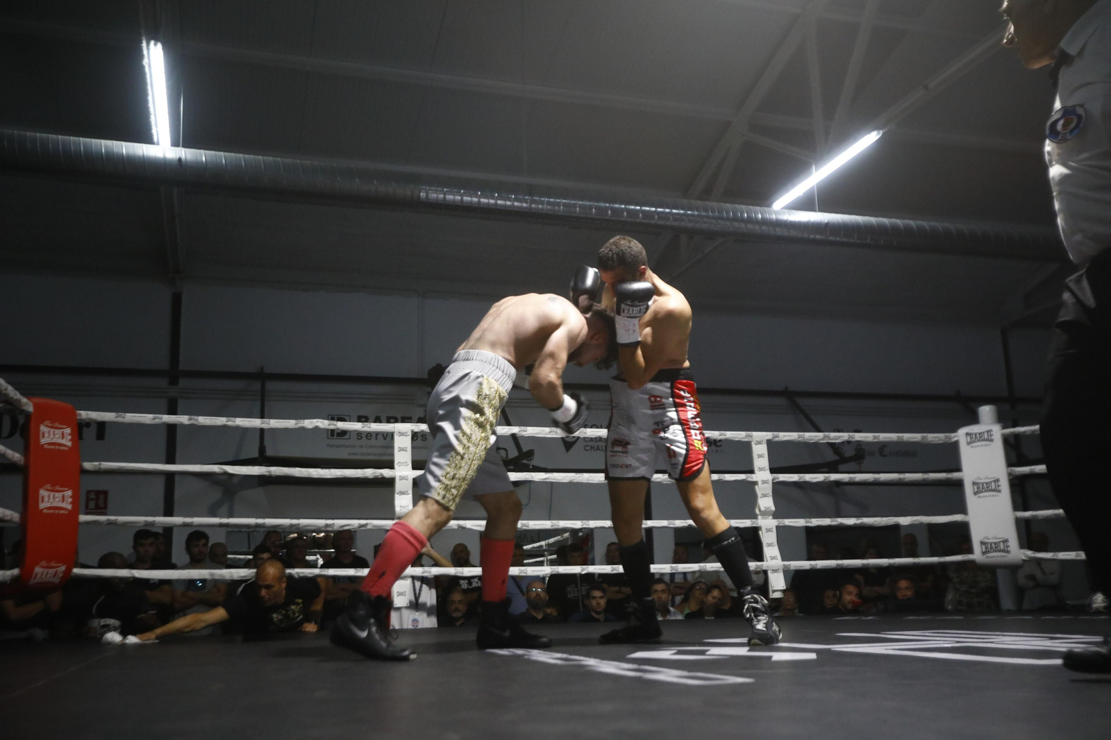 La victoria de El Cazador Jr sobre Mathieu Gomes en Córdoba, en imágenes